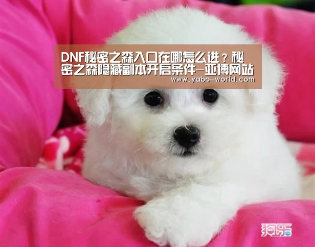 DNF秘密之森入口在哪怎么进?秘密之森隐藏副本开启条件-亚博网站(图2) 亚博平台